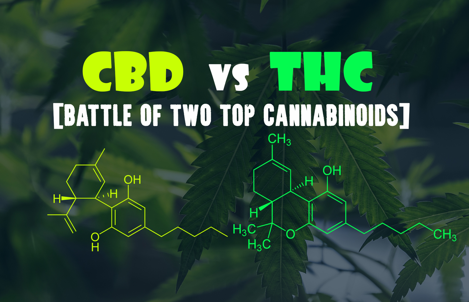 marijuanabreak_cbd_vs_thc.jpg