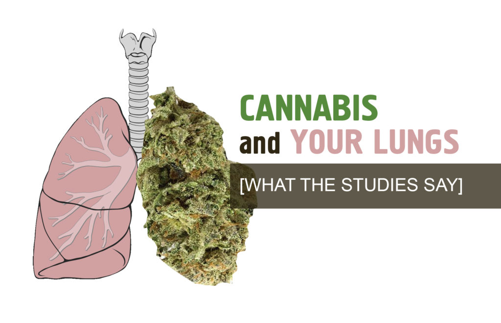 Image result for Marijuana to the lungs