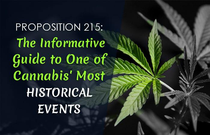 marijuanabreak_The_Informative_Guide.jpg