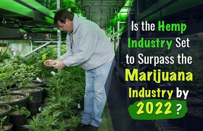 Is the Hemp Industry Set to Surpass the Marijuana Industry by 2022?