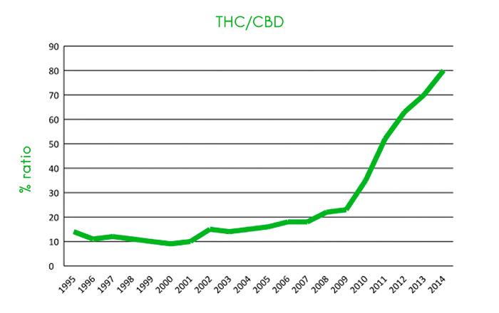 Thc Percentage In Weed Chart