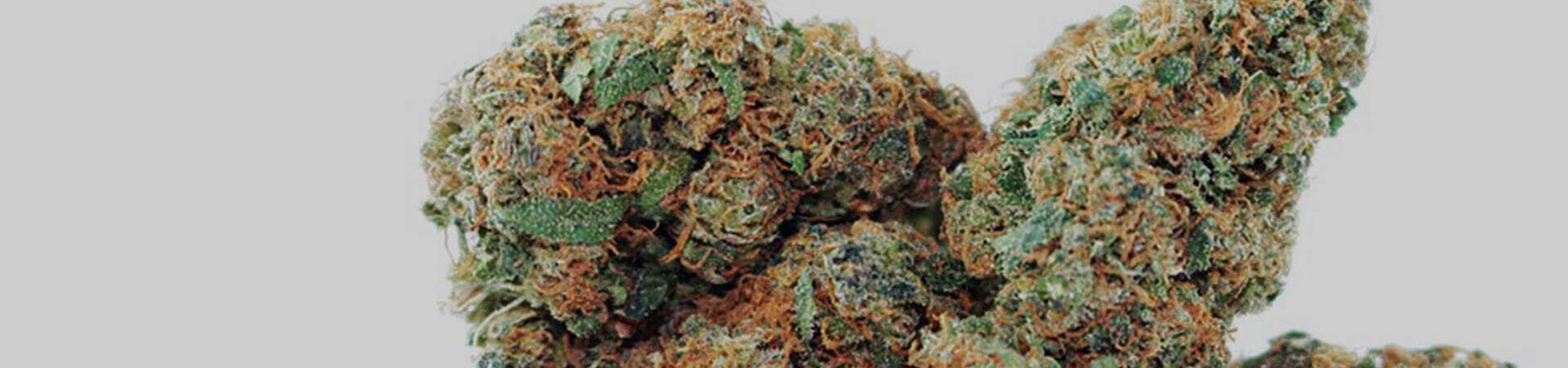 The 5 Worst Marijuana Strains Ever